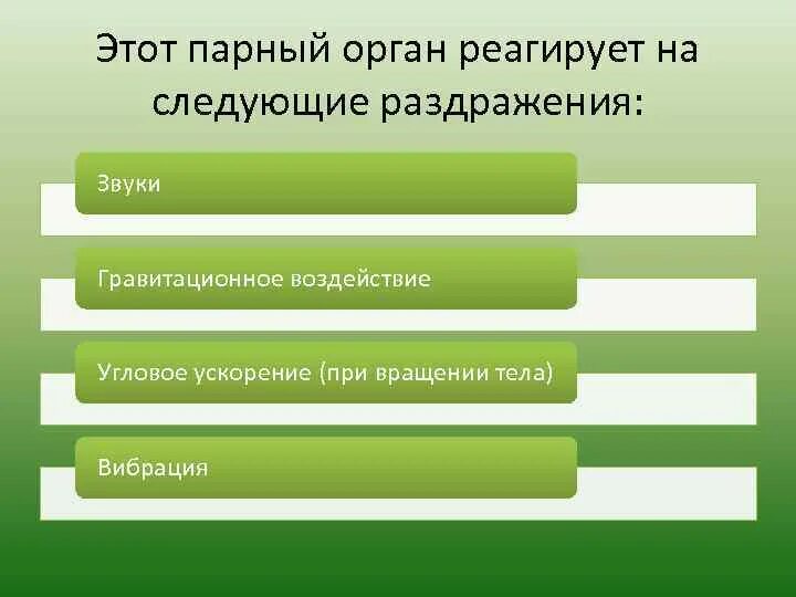 Орган слуха реагирует на следующие раздражения. Органы слуха реагирует на раздражение. На какие раздражения реагирует орган слуха. Орган реагирующим на свет хламидомода. 3 парных органах