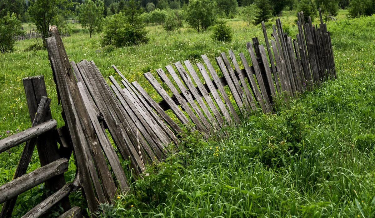 забор в деревне. деревянный забор частокол. разобрать предложение этот частокол западня. этот частокол западня для деревенских. деревянный забор.