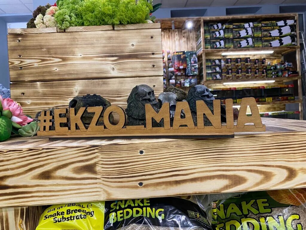 Рейнбокорс экзомания. Экзомания краснодар. Зоомагазин пантерик парк победы. Террариум нижний новгород большая покровская. Экзомания зоомагазин.