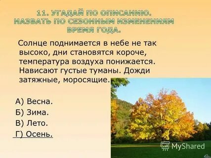 Жизнь растений весной и летом