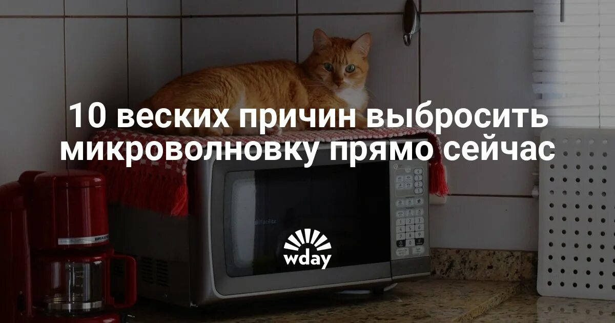 Как подогреть без микроволновки. Объявление микроволновка грязная. где выкинули в микроволновку. микроволновка пожар. как подогреть картошку когда нет микроволновки.