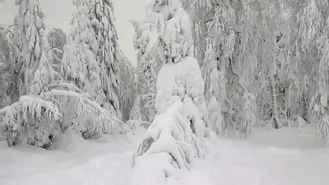 Ютуб снег