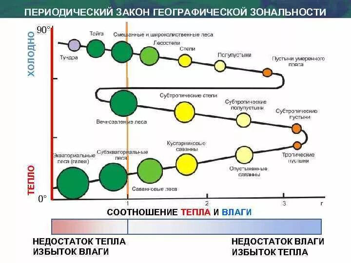 Какова причина зональности. Периодический закон зональности Григорьева-Будыко. Периодический закон географической зональности. Концепция биографической зональности Григорьева-Будыко. Принцип географической зональности.