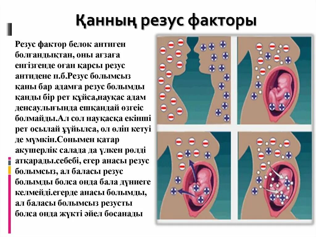 Резус фактор 1 отрицательная. Конфликт резус факторов. Резус конфликт беременность. Положительный и отрицательный резус. Резусы у супругов