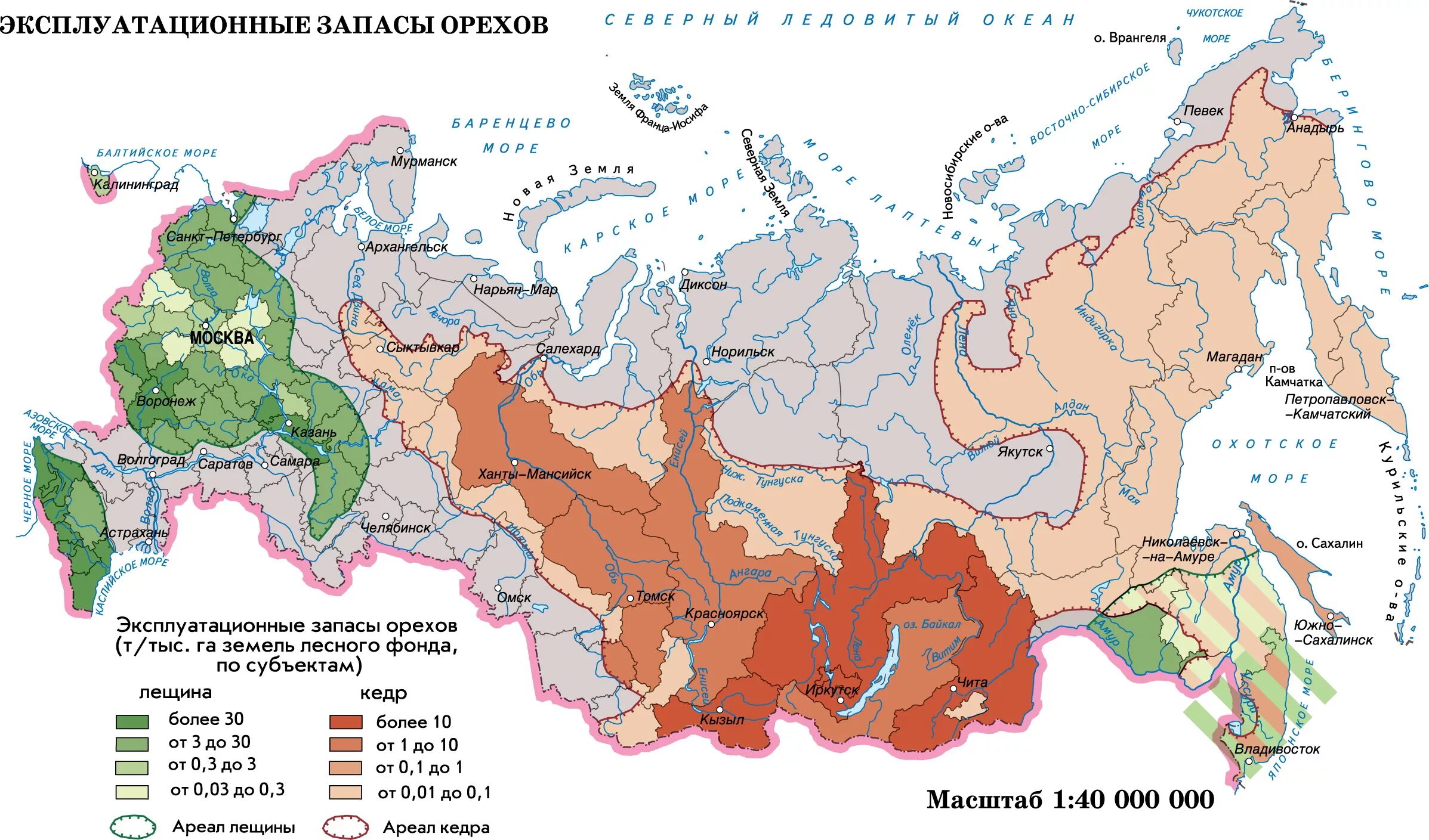 Уровень моря регионов россии. Карта кедровых лесов России. Ареал кедра Сибирского. Сибирский кедр распространение на карте. Ареал кедра Сибирского карта.