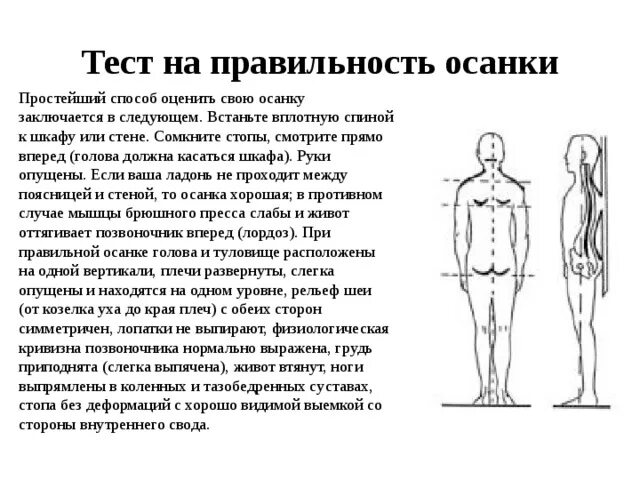 Практическая работа проверяем правильность осанки 8. Правильность осанки. тест на осанку. определить правильность осанки. способ определения правильности осанки.