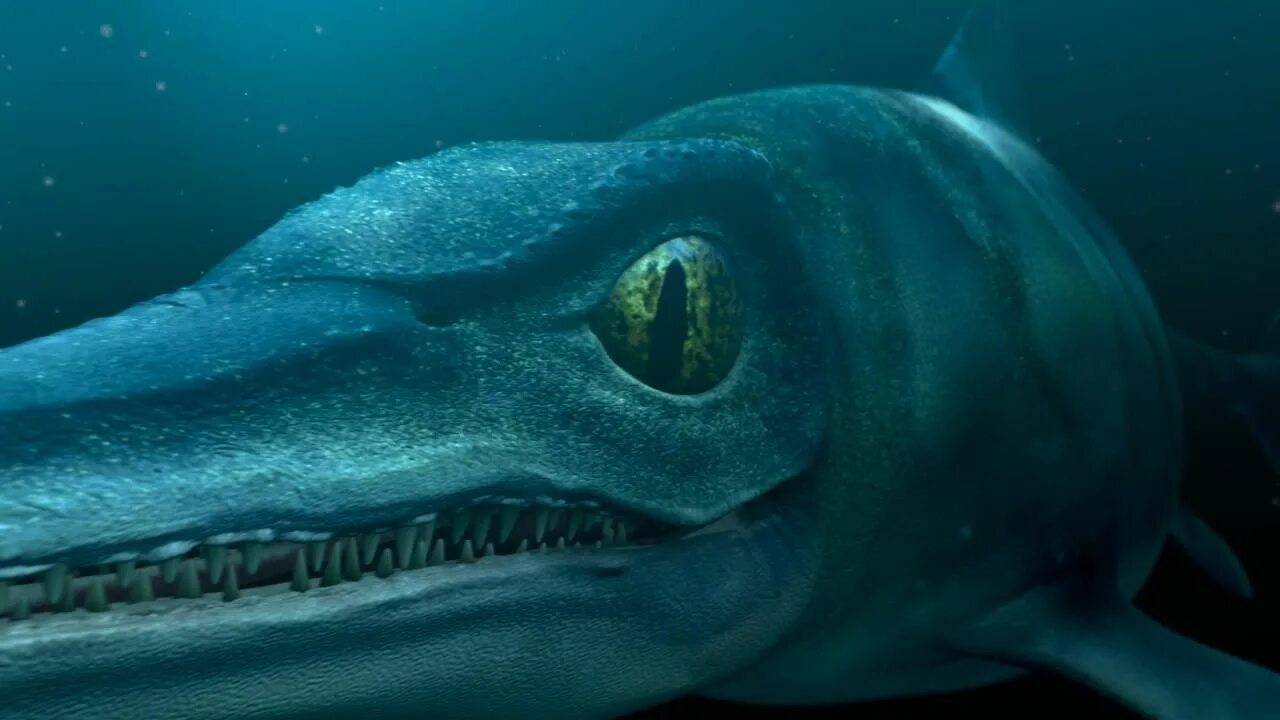 блуп морское. блуп морское. левиафан морское чудовище. левиафан блуп. блуп морское чудовище.