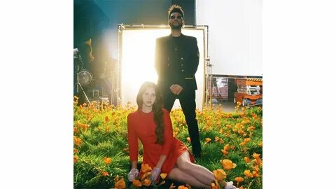 Lust for life