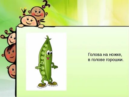 4 1 горох