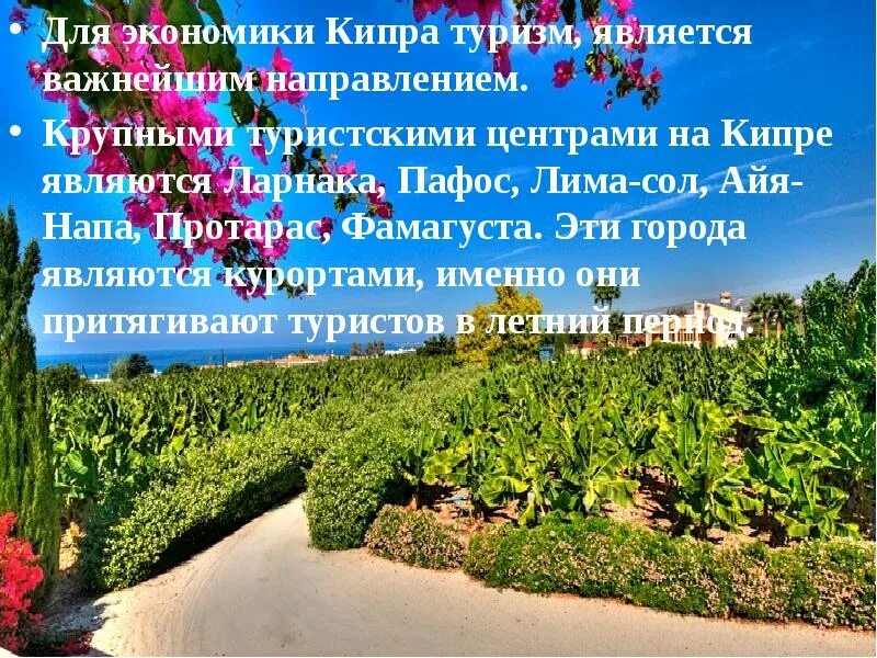 Хозяйство кипра. Хозяйство кипра