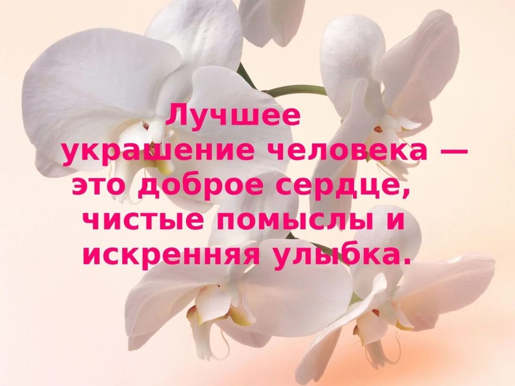 Красивые высказывания из книг. Огромной души человек что это. Красота души цитаты. Афоризмы о человеческой душе. Доброе сердце высказывания.