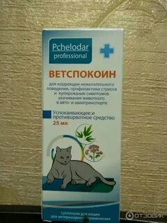 Снотворное для кошек