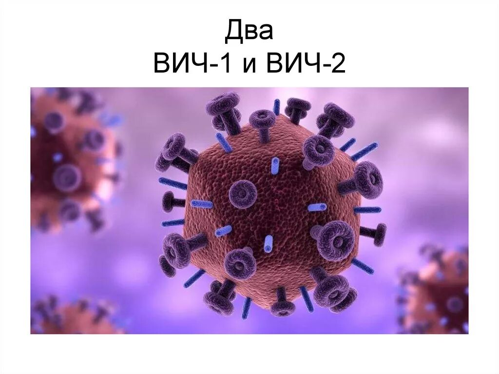 Вирус вич 1. Human immunodeficiency virus 2 (hiv-2) — вирус иммунодефицита человека 2 (вич-2). вич 1 и вич 2. вирус вич под микроскопом.