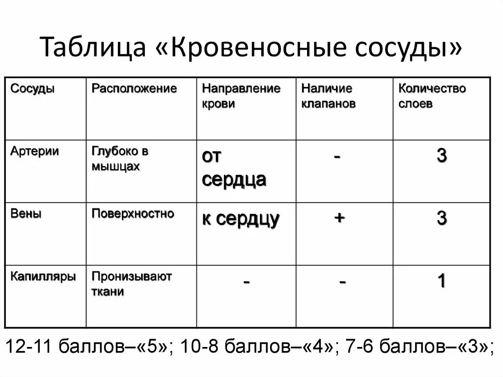 Таблица сосудов человека. Таблица кровеносные сосуды 8 класс биология. Таблица кровеносные сосуды 8 класс. Биология таблица кровеносные сосуды. Сравнительная таблица кровеносные сосуды.