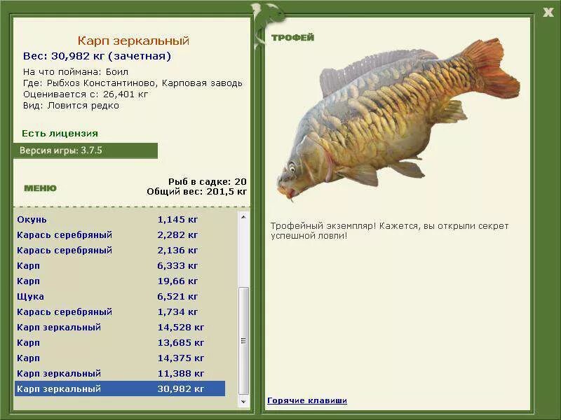 Карп русская рыбалка 3. Русская рыбалка 3 7 4 Рыбхоз Константиново. Трофейный зеркальный Карп. Русская рыбалка Карп. Зеркальный Карп трофей.