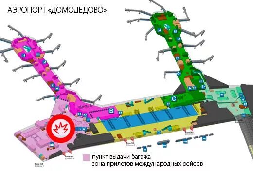 Домодедово схема аэропорта международные рейсы. Терминал 1 зона прилета Домодедово аэропорт. Домодедово план аэропорта прилет. План аэропорта Домодедово зона прилета.