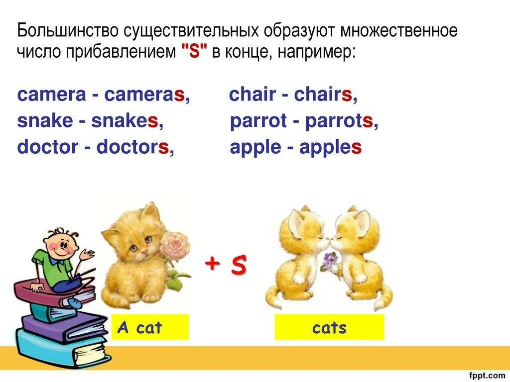 Слово работа во множественном числе. Образование множественного числа существительных в английском языке. Множественное число сущ в английском языке. Правила формирования множественного числа в английском. Правило образования множественного числа в англ.