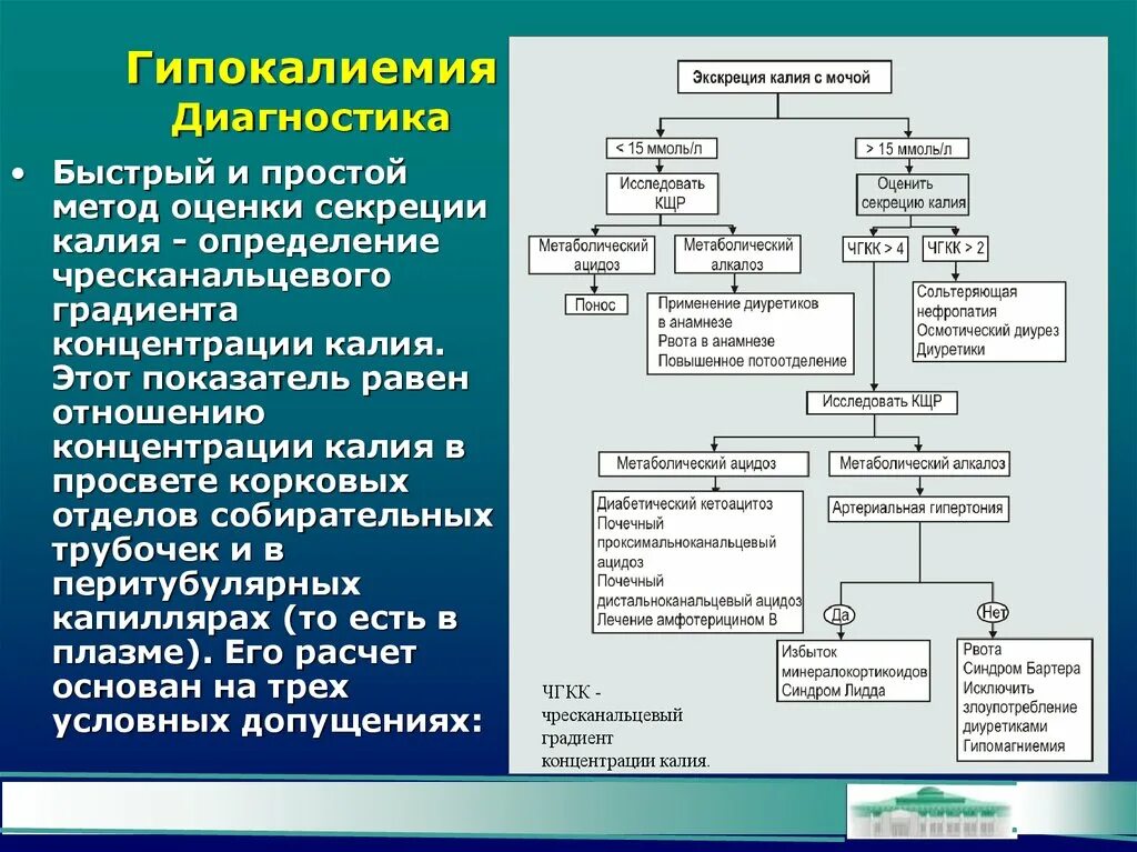 Содержание калия в моче. Гипокалиемия диагностика. гипокалиемия диагноз. экскреция калия с мочой. гипокалиемия патогенез.