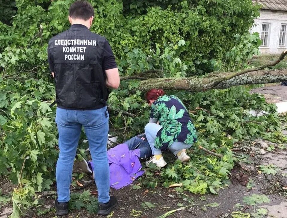 Дерево упало на женщину в Михайловском.