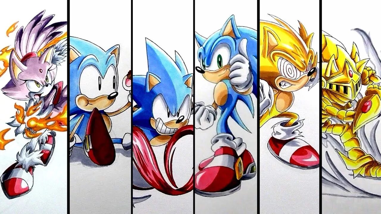 Sonic compilation. Sonic all forms.