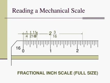 Size scale