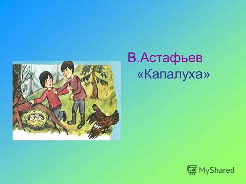 Капалуха мысль произведения. Иллюстрация к рассказу Капалуха Астафьев. Капалуха Астафьев книга.