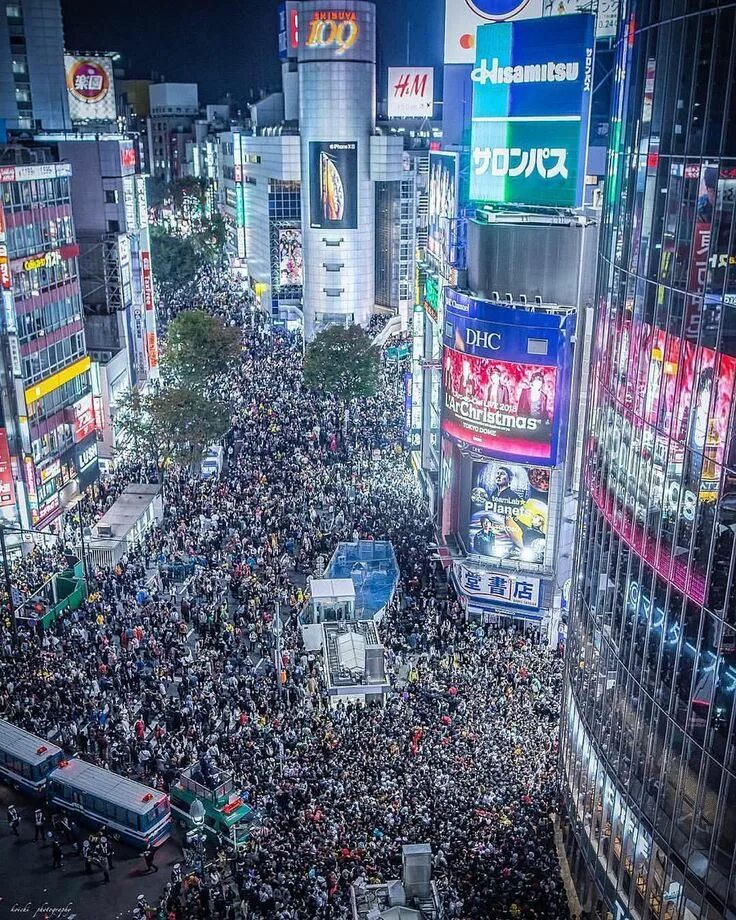 Tokyo com. Сибуя Токио. Япония Сибуя. Район Шибуя Токио. Площадь Сибуя Токио.