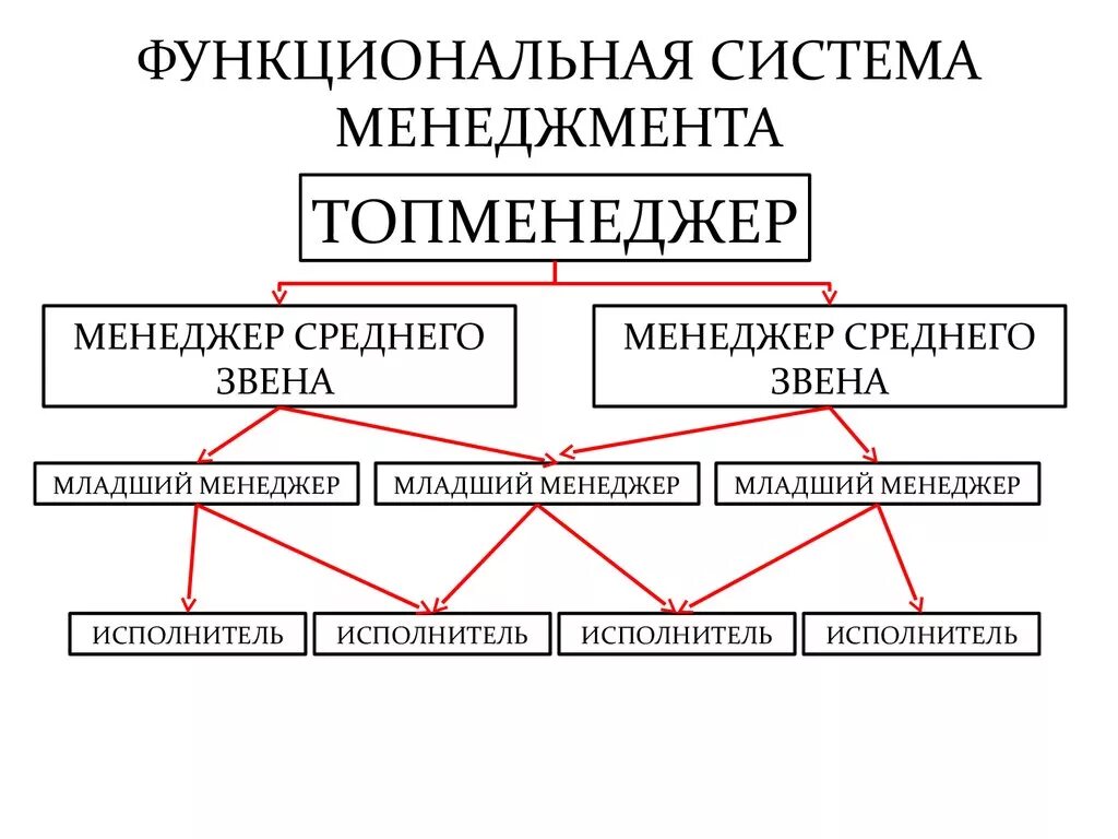 Английская система управления. Функциональная система управления. Функциональная система менеджмента. Функциональный менеджмент. Управленческая система.