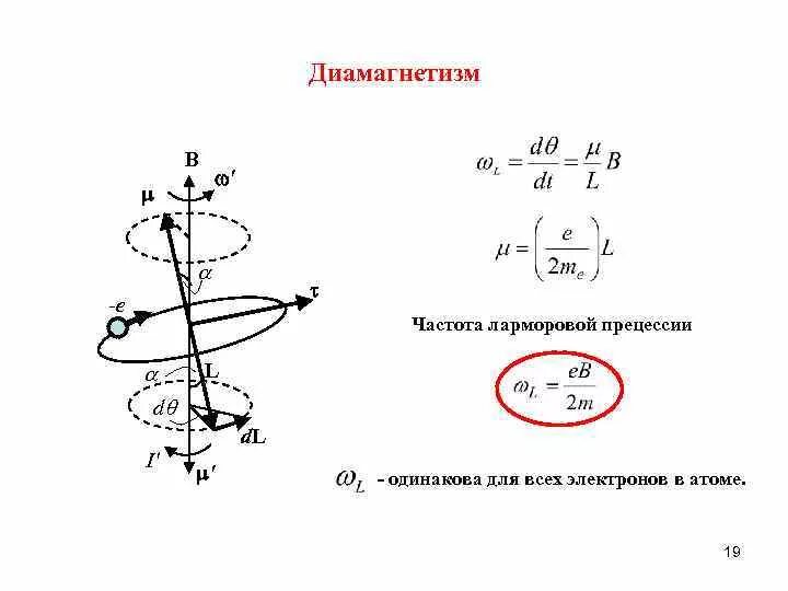 Ларморова прецессия формула. Прецессия орбиты электрона в магнитном поле. Прецессия диамагнетизм. Частота прецессии Лармора. Частота вращения частицы в магнитном поле