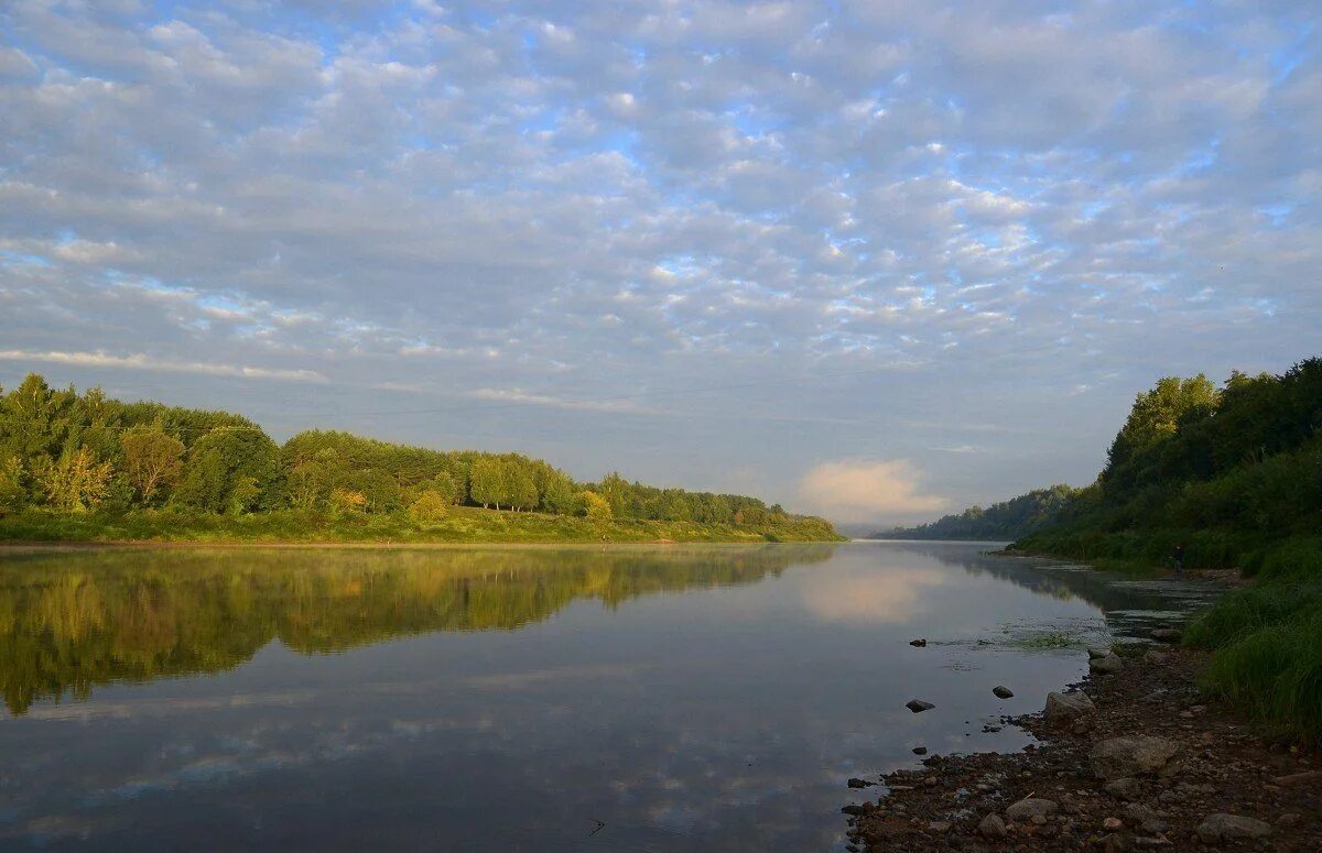 Река Даугава Западная Двина. Белоруссия Западная Двина река. Западная Двина река Куньинский район. Западная Двина река утесы.