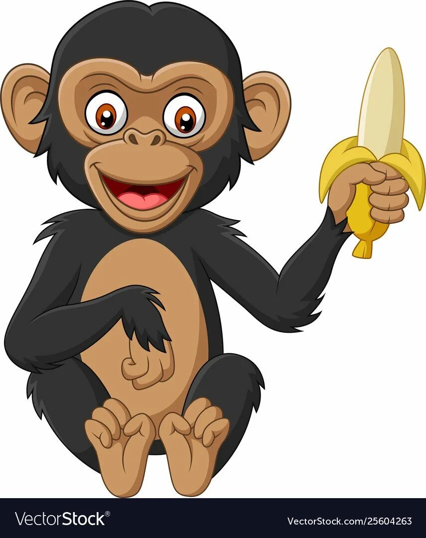 Обезьяны с бананами картина. Шимпанзе мультяшный. Мультяшная обезьяна с бананом. Обезьяна Векторная Графика. От улыбки обезьяна подавилася бананом