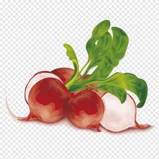 Редис детям