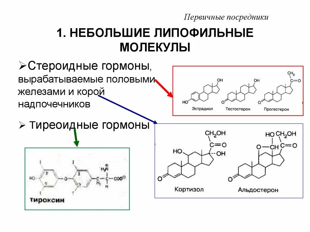 Молекулы доноры. Липофильные соединения. Липофильные сигнальные молекулы. Примеры липофильных сигнальных молекул. Рисунок на котором изображена железа вырабатывающая гормон тироксин.