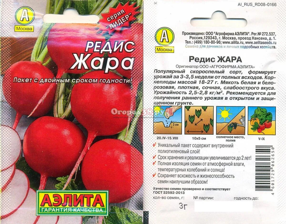 Редис сорт жара. Семена редис жара.