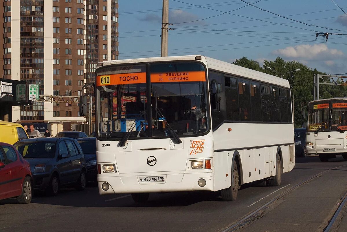 Маршрутка 610 тосно звездная. Маршрутка 610 тосно звездная