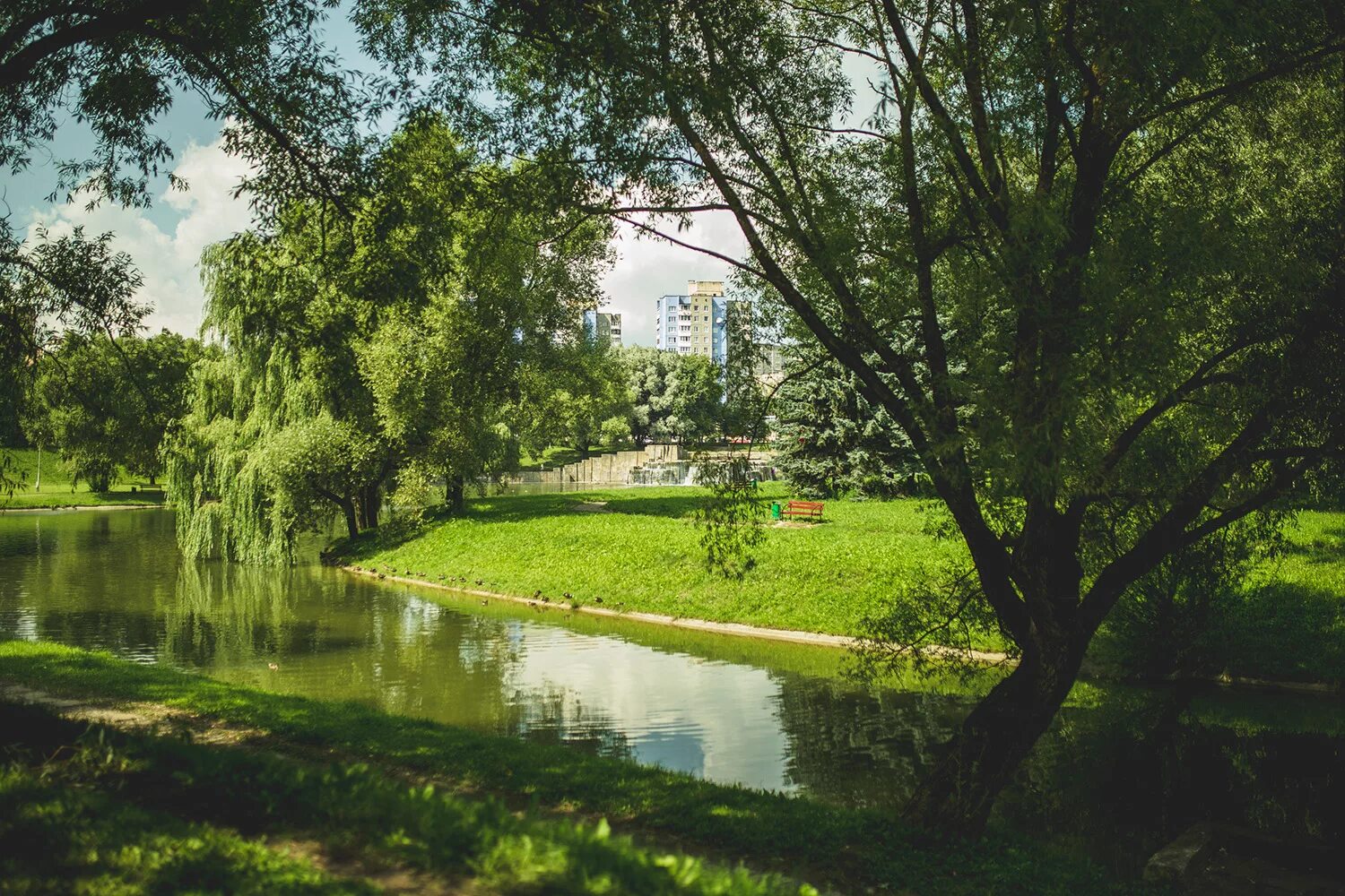 Зелёный луг Вологда. Зеленый луг Новосибирск. Минск зеленый луг фото. Зелёный луг старый Оскол.