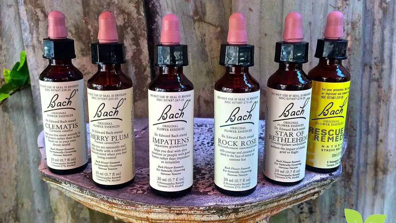 Dr bach