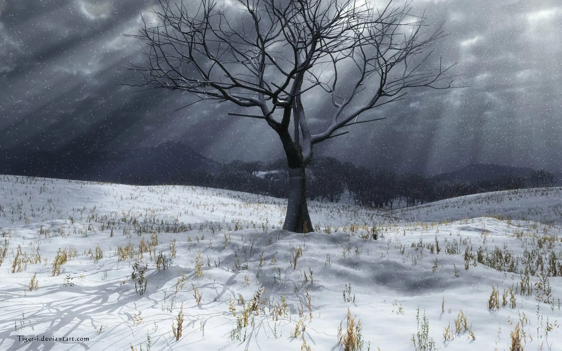 Полна тайн хмурая тишина зимнего. Пасмурная зима. Мрачный зимний лес. Мрачный зимний пейзаж. Мрачный снежный пейзаж.