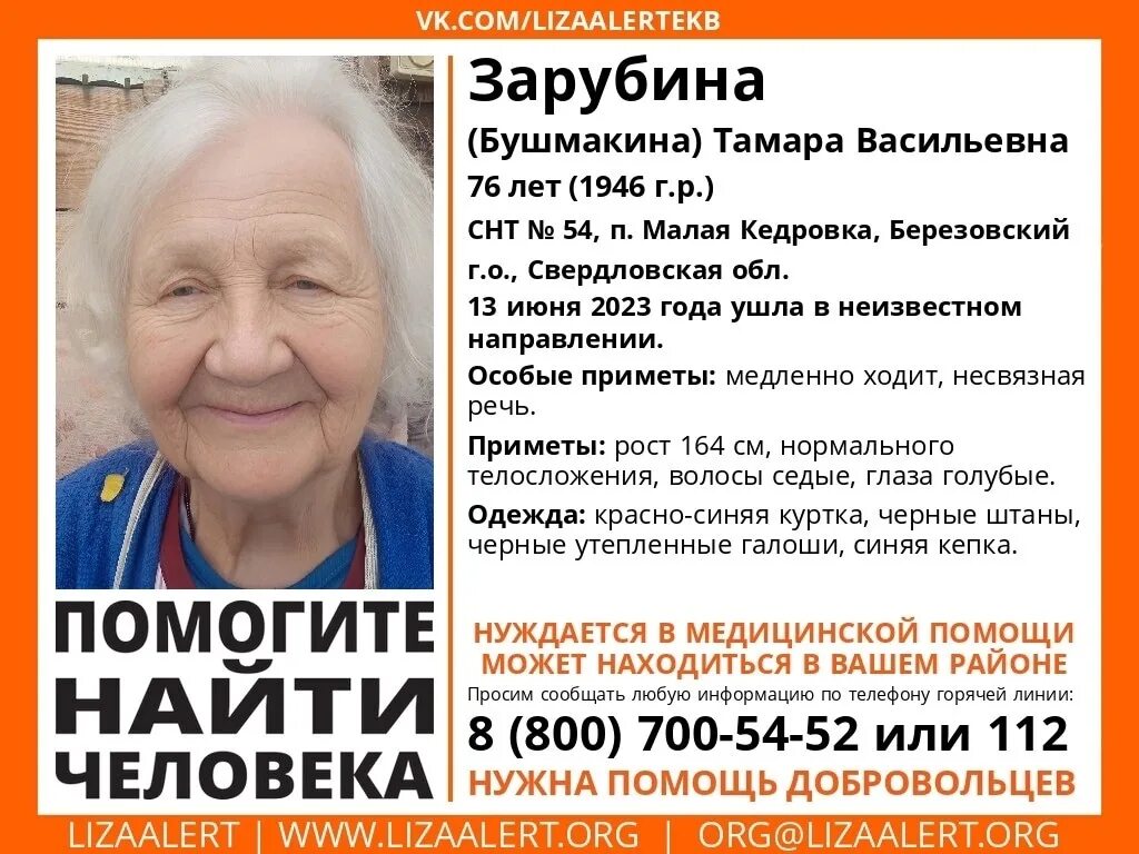 Сила березовского в. Сила березовского в