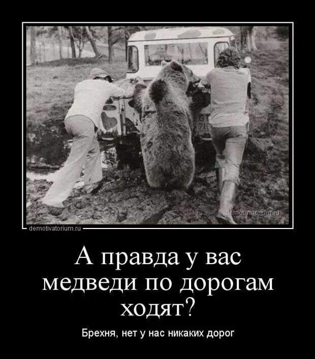 Всё подряд картинки. Это вы это правда вы. Хахаски медицина. Это вы это правда вы. А вы правда доктор.