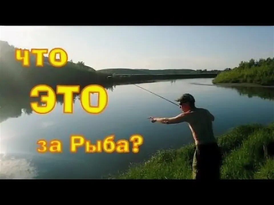 Ай ловлю