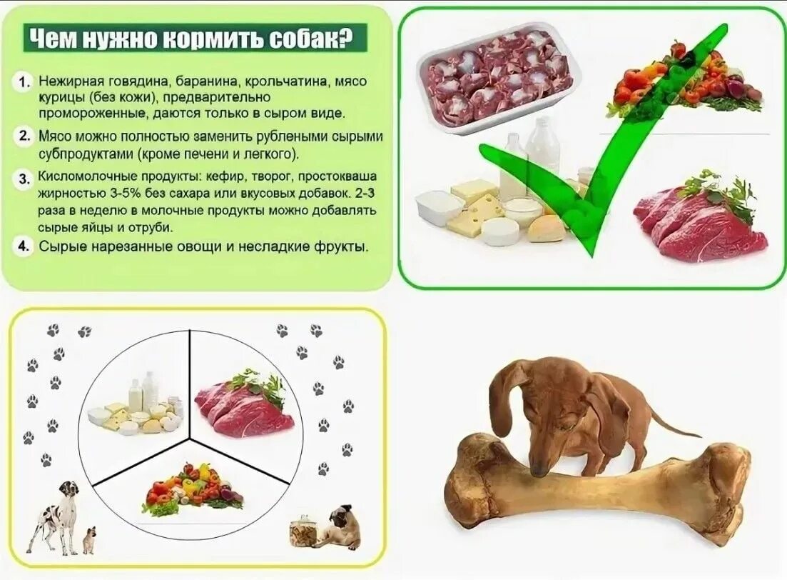 Сколько нельзя давать. Рацион собаки. Еда для домашних животных. Рацион питания собаки. Рацион натурального питания для собак.