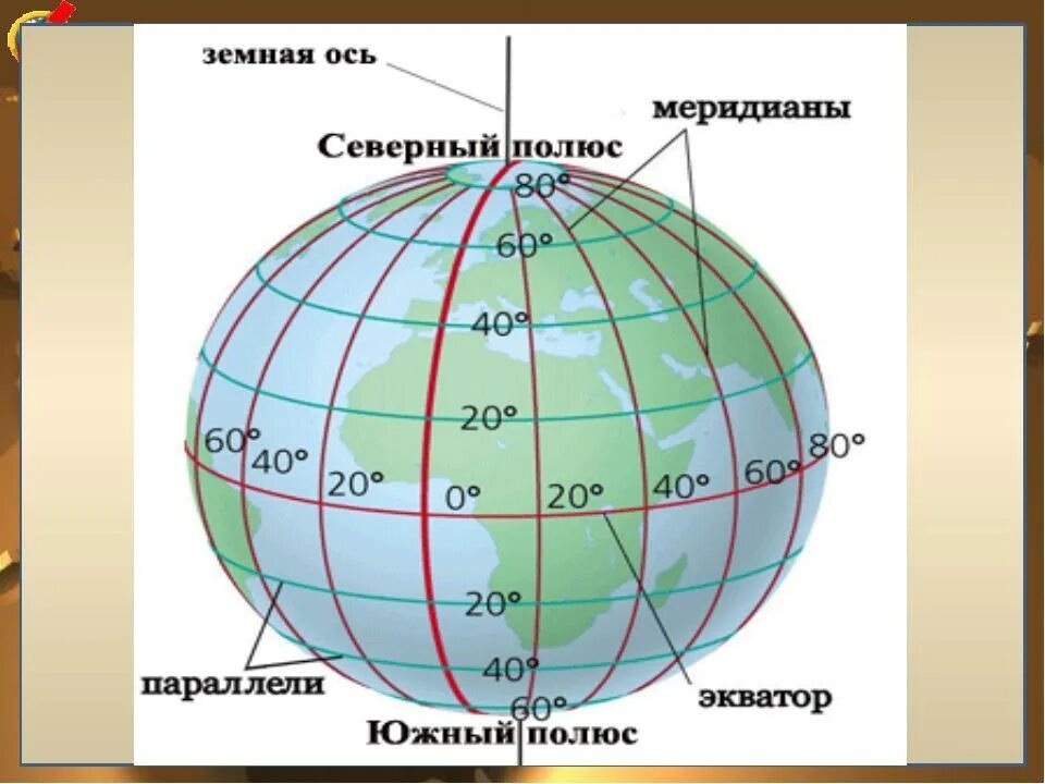 Через сколько градусов проведены меридианы. Эватор меридианы параллели. экватор меридиан параллель. ширина долгота параллель меридиан. меридианы на глобусе.
