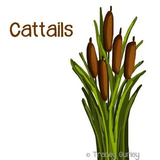 Cattails Graphic Original Art cattails clip art cattails image 0.