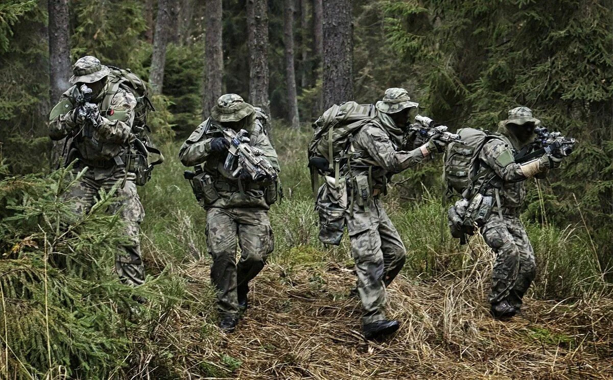 Сильнейшие военные организации. Страйкбольный спецназ ССО. Развед диверсионная группа. Экипировка разведчика спецназ гру. Лесная экипировка ССО.