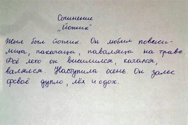 Сочинение моя жизнь в 5 классе. Смешные сочинения. Смешные детские сочинения. Юмористическое сочинение. Смешные сочинения детей.