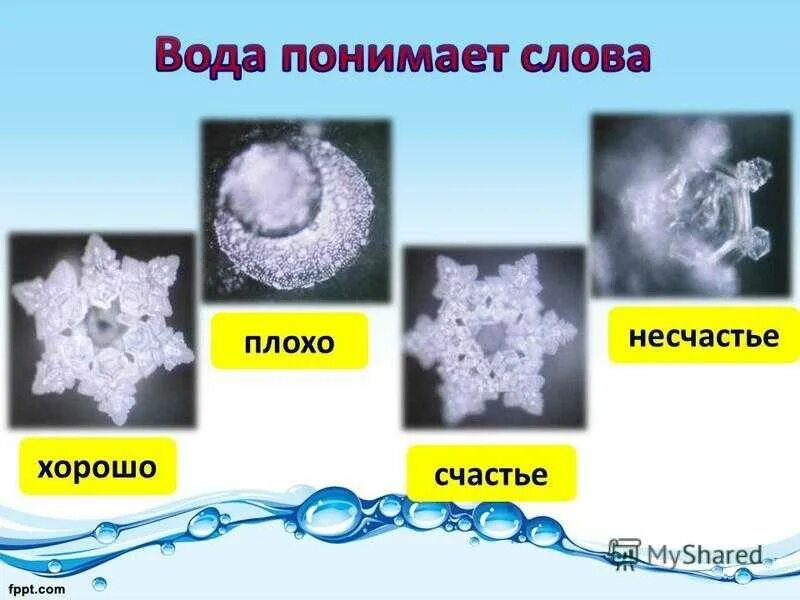 Японский ученый Масару Эмото снежинки. Память воды Масару Эмото. Масару Эмото структура воды. Эксперимент Масару Эмото. Звуки плохие слова