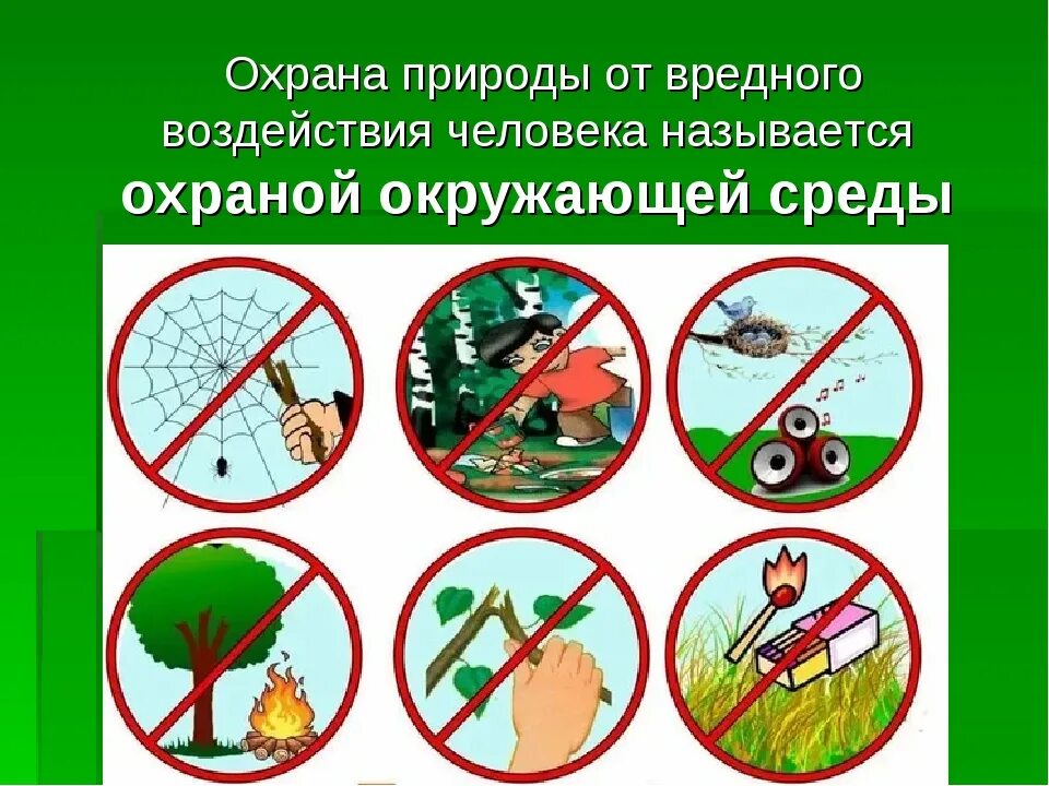 Знак охраны природы для детей