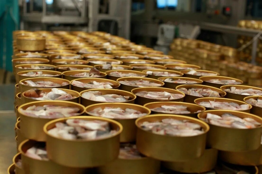 Производство консерв. Производством консервной продукции. Завод умкк уфа. Рыболовецкий колхоз им. Производством консервной продукции.