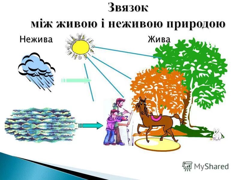 Превращение неживого в живое. Інфографіка взаємозв'язок між живою і неживою природою. Взаємозв'язок у природі. Зв язок людини з неживою природою фото.